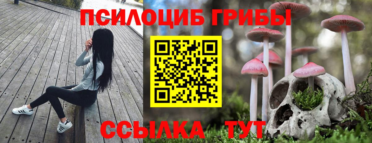Ирбит  Псилоцибиновые грибы MAGIC MUSHROOMS  Вход с VPN  Псилоцибиновые грибы Cubensis 